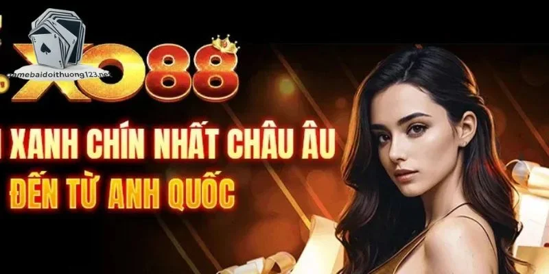 Một số thông tin tổng quan về nhà cái